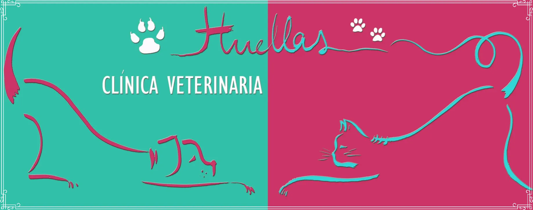 Huellas Salamanca