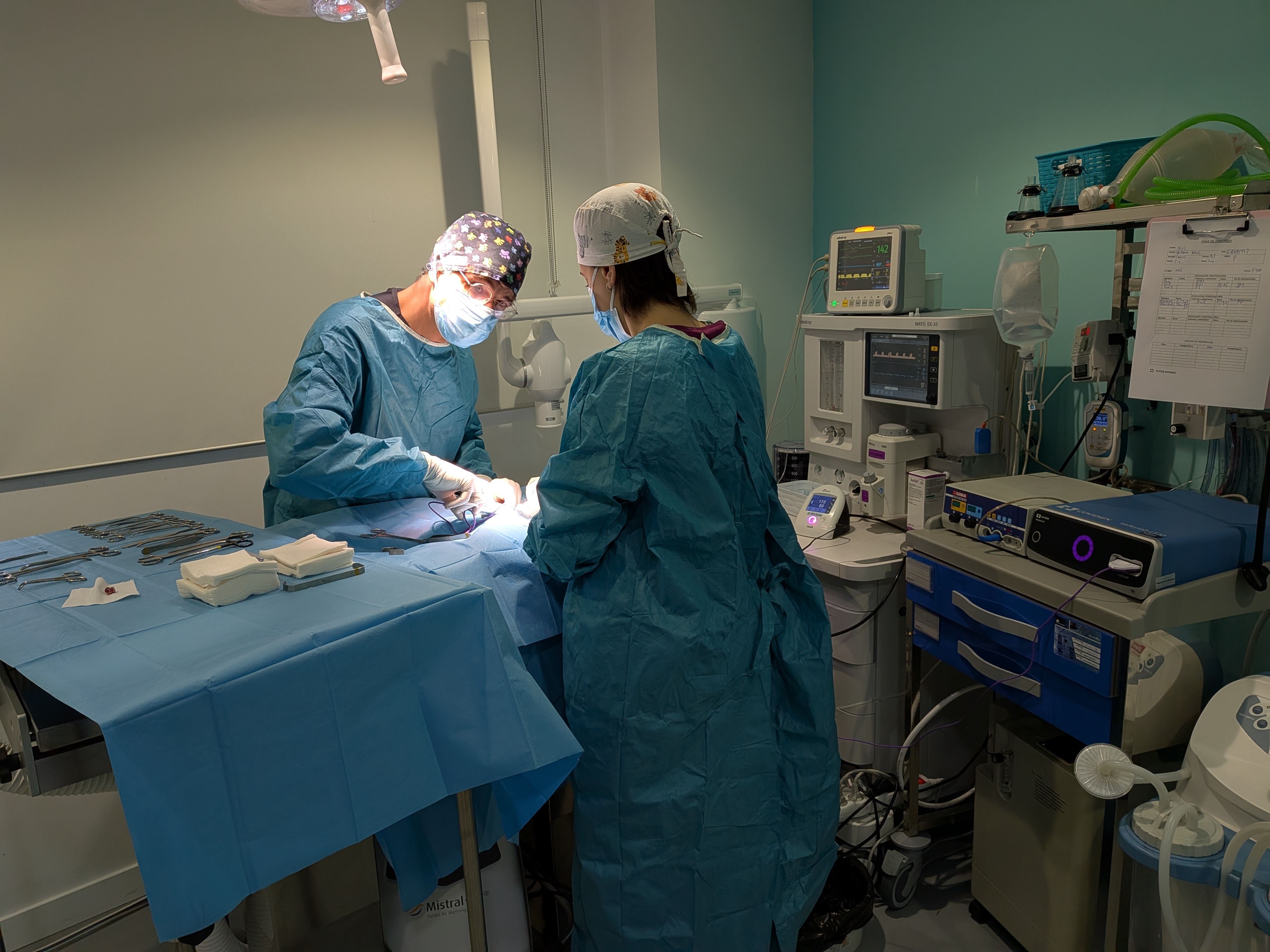 Cirugía Veterinaria