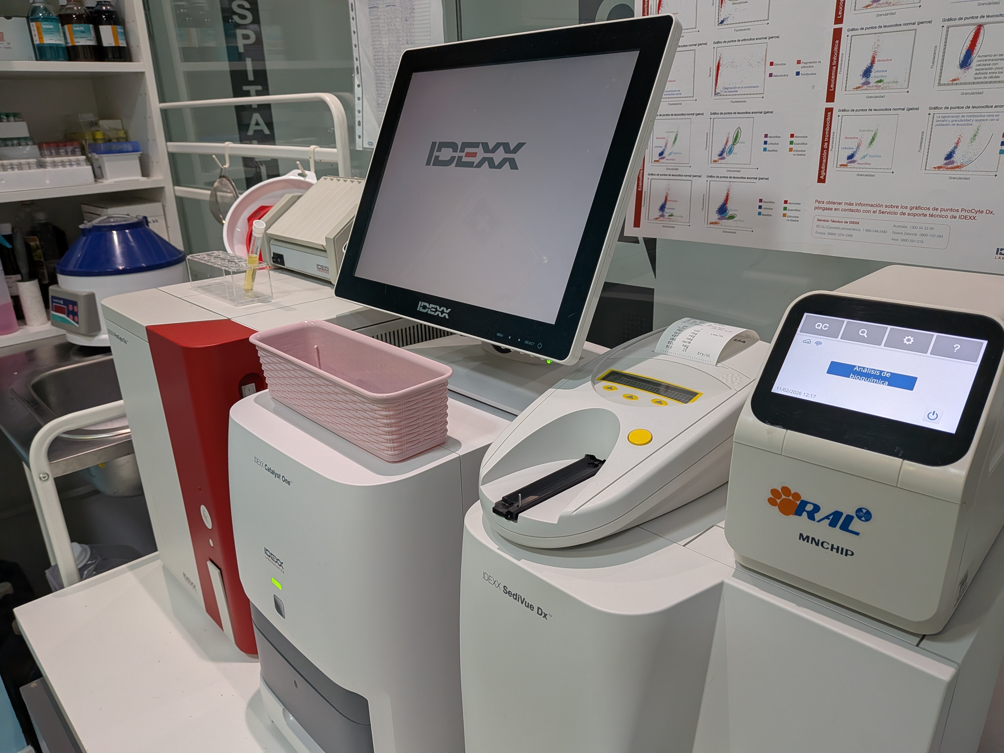 Laboratorio propio